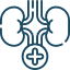 Nephrology and Transplant Medicine