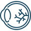 Ophthalmology & Vision Sciences