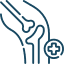 Orthopedics and Traumatology