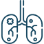 Urology & Kidney Transplantation Surgery