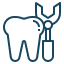 Dentistry and Dental Surgery