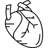 Cardiology